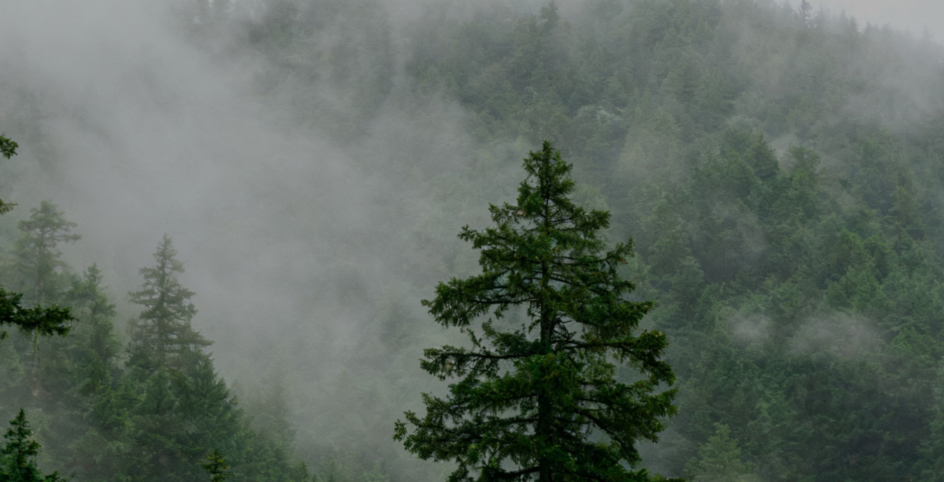 携手同行  共筑事业生态新未来